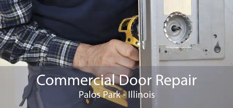 Commercial Door Repair Palos Park - Illinois