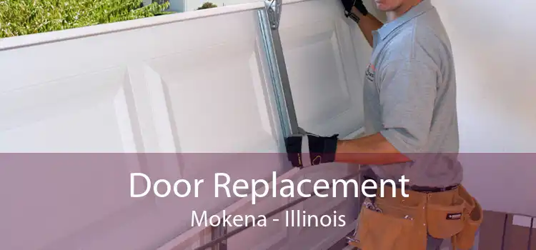 Door Replacement Mokena - Illinois
