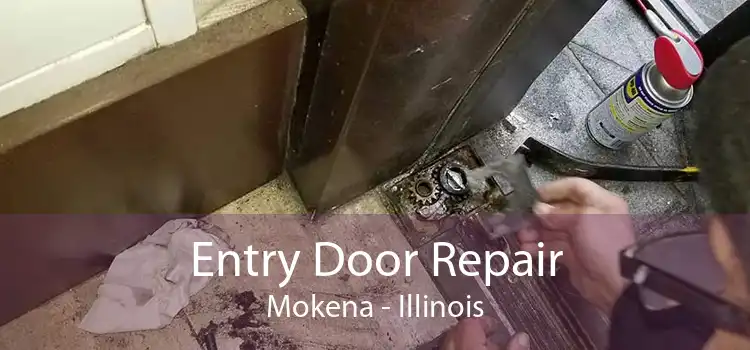Entry Door Repair Mokena - Illinois