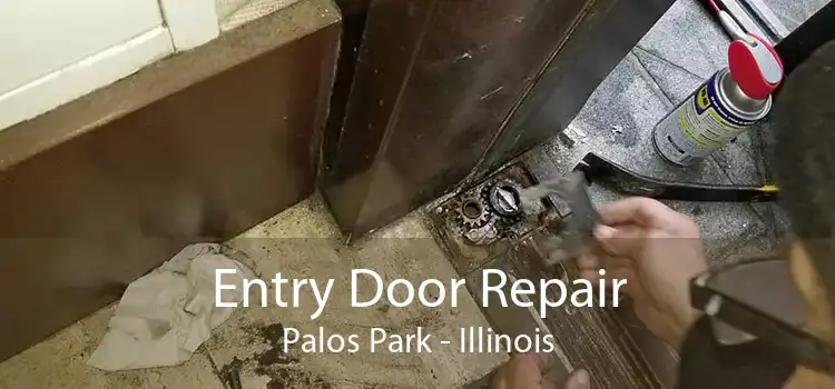 Entry Door Repair Palos Park - Illinois
