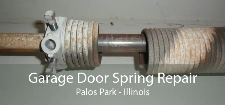 Garage Door Spring Repair Palos Park - Illinois
