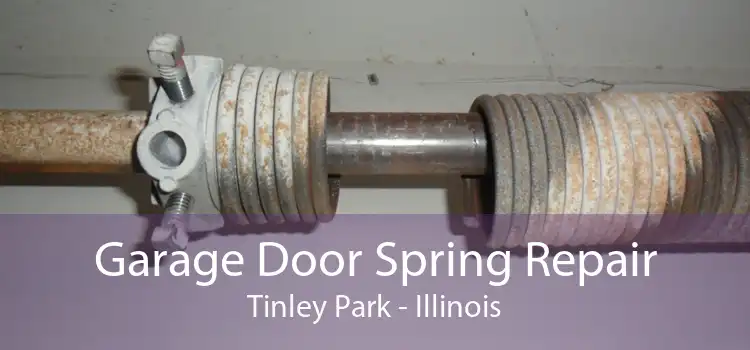 Garage Door Spring Repair Tinley Park - Illinois