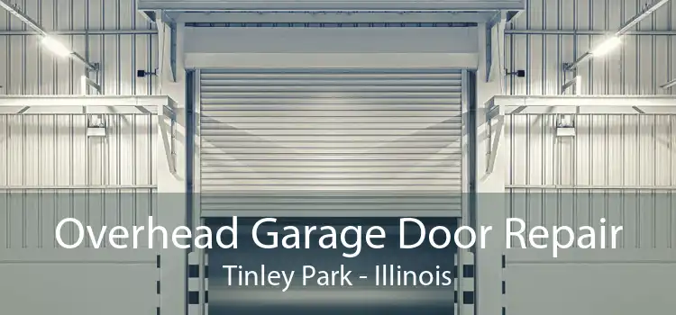 Overhead Garage Door Repair Tinley Park - Illinois
