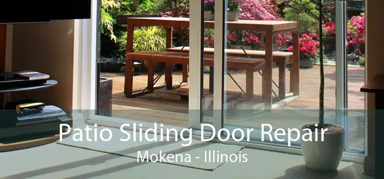 Patio Sliding Door Repair Mokena - Illinois