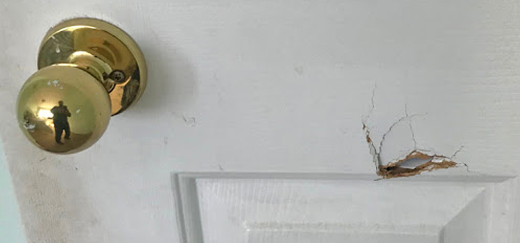interior door hole repair Midlothian